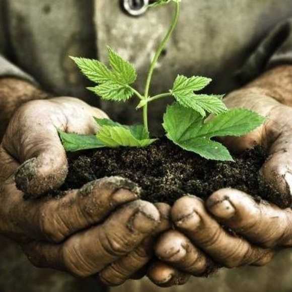 Meet your Posher, Lh - Picture 1 of 1